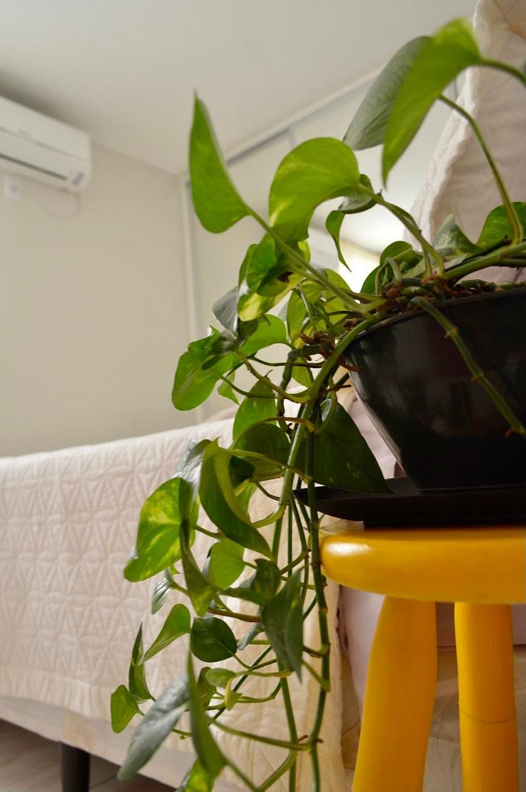 Everything within walking distance! Buena Vista Shopping Mal